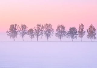 Il fascino di colori dei tramonti e delle albe invernali, perché sono così spettacolari e diversi da quelli estivi?