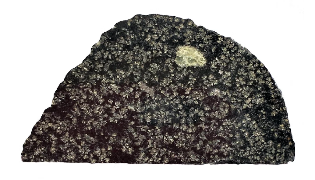 NWA 12774 Porzione del meteorite NWA 12774. Il cerchio verde è un cristallo di olivina, un minerale ricco di magnesio. Credit: John Kashuba