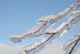 Gelicidio: ecco cos'è questo raro fenomeno meteorologico