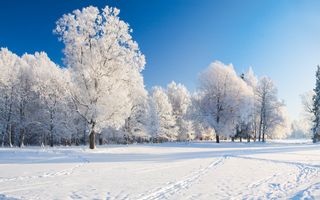 L'inverno arriverà a febbraio? Ecco le tendenze meteo