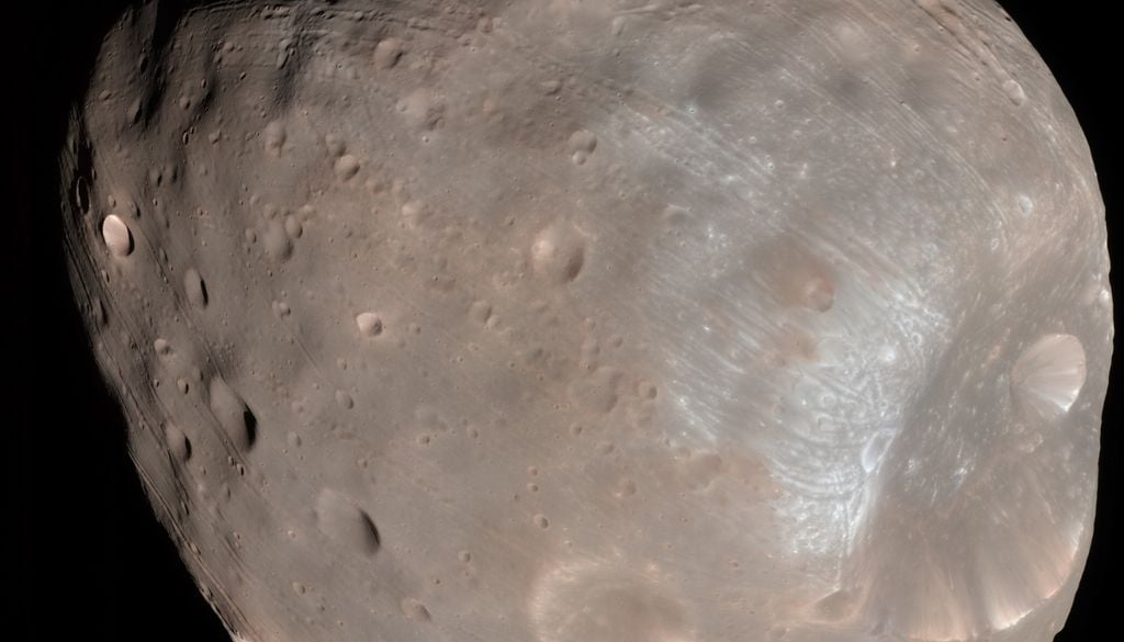 A bordo della sonda principale viaggerà un piccolo rover chiamato Pidefix, dal peso di circa 25 kg, che è stato sviluppato congiuntamente da francesi e tedeschi e che avrà il compito di studiare la superficie di Phobos.