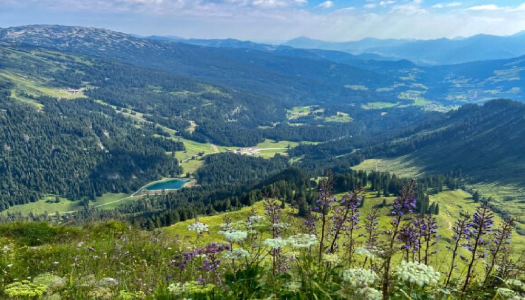 La regione di Mittelberg dove fu rinvenuto il Disco di Nebra nell'Austria settentrionale.