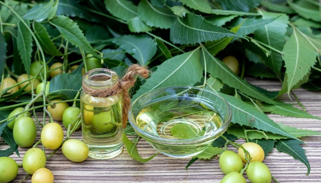 Olio di neem