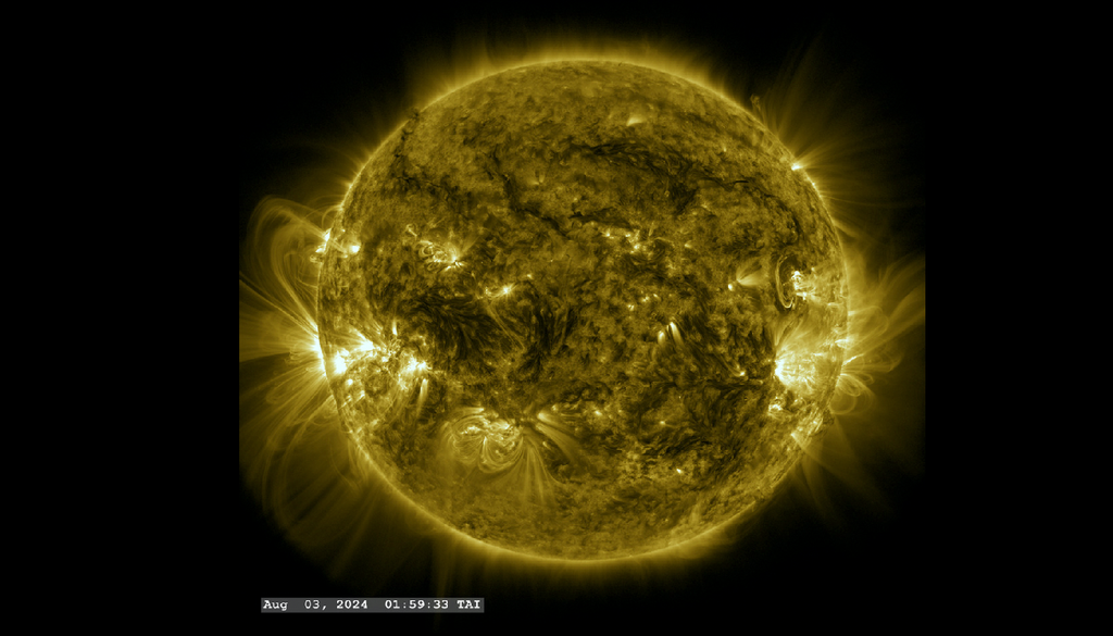 Il Sole nell’agosto 2024, durante la fase di massima attività del ciclo 25. Le numerose regioni luminose osservate da SDO/AIA a 171 Å corrispondono a strutture coronali magneticamente attive, in netto contrasto con l’aspetto del Sole al minimo del 2019. Credit: NASA/SDO/AIA.