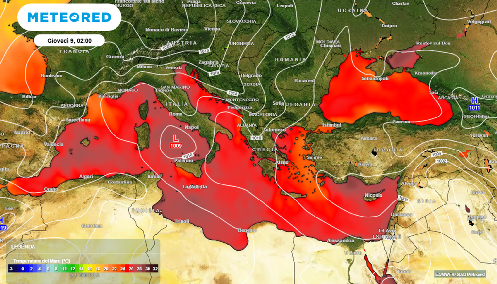 Mediterraneo caldo. Il riscaldamento apre la porta a centinaia di specie aliene termofile, provenienti soprattutto dal Mar Rosso attraverso il Canale di Suez (Lessepsiane) o dal trasporto navale. Oltre 1.000 specie non indigene sono già presenti, e molte stanno diventando invasive.