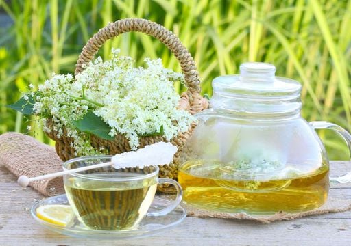 Il meglio di aprile si trova in campagna: prodotti selvatici che puoi raccogliere facilmente