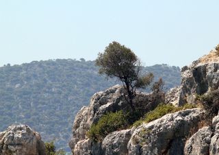 Il meteo questa settimana: caldo estivo, poi ancora instabilità?