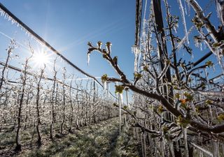 Il meteorologo Luca Lombroso avverte: in arrivo temporali di neve in quattro regioni, rischio gelate tardive storiche?