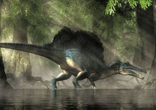 Il mistero del nuovo dinosauro acquatico tra le sabbie del Sahara