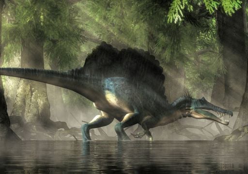 Il mistero del nuovo dinosauro acquatico tra le sabbie del Sahara