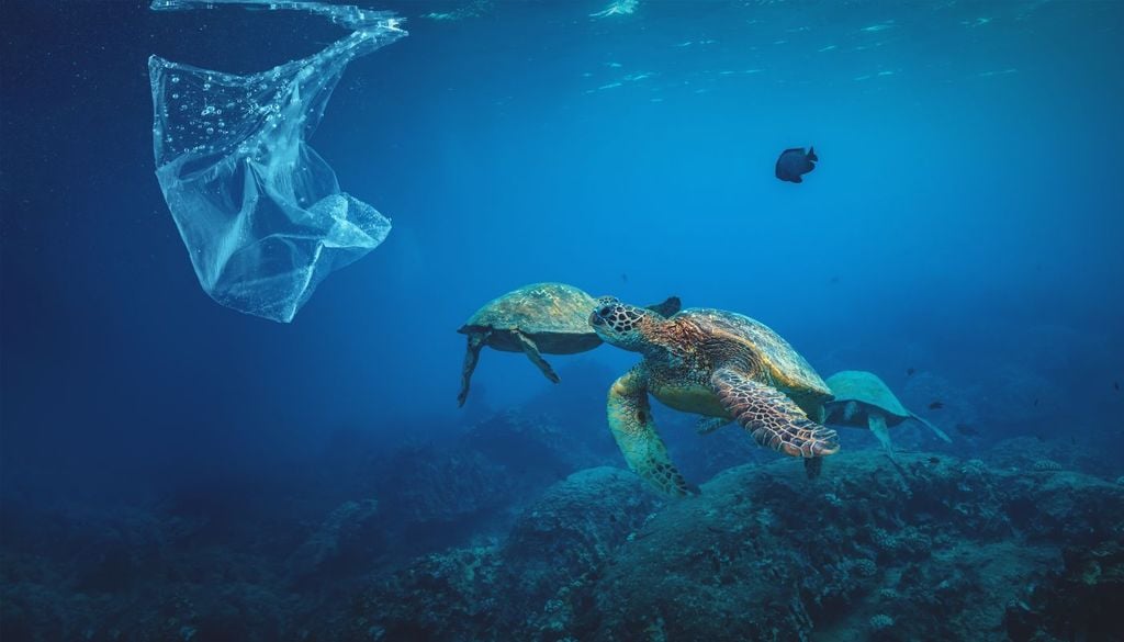 Hawaii inquinamento Sott'acqua o sotto la sabbia, la plastica è un pericolo costante per gli habitat costieri