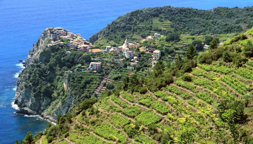 I pendii delle montagne liguri coltivati grazie ai terrazzamenti