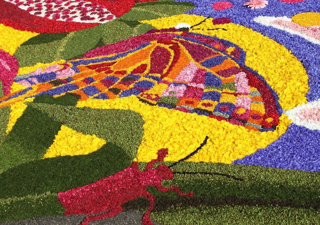 Borghi Umbria - Infiorata Borghi Umbria - Infiorata