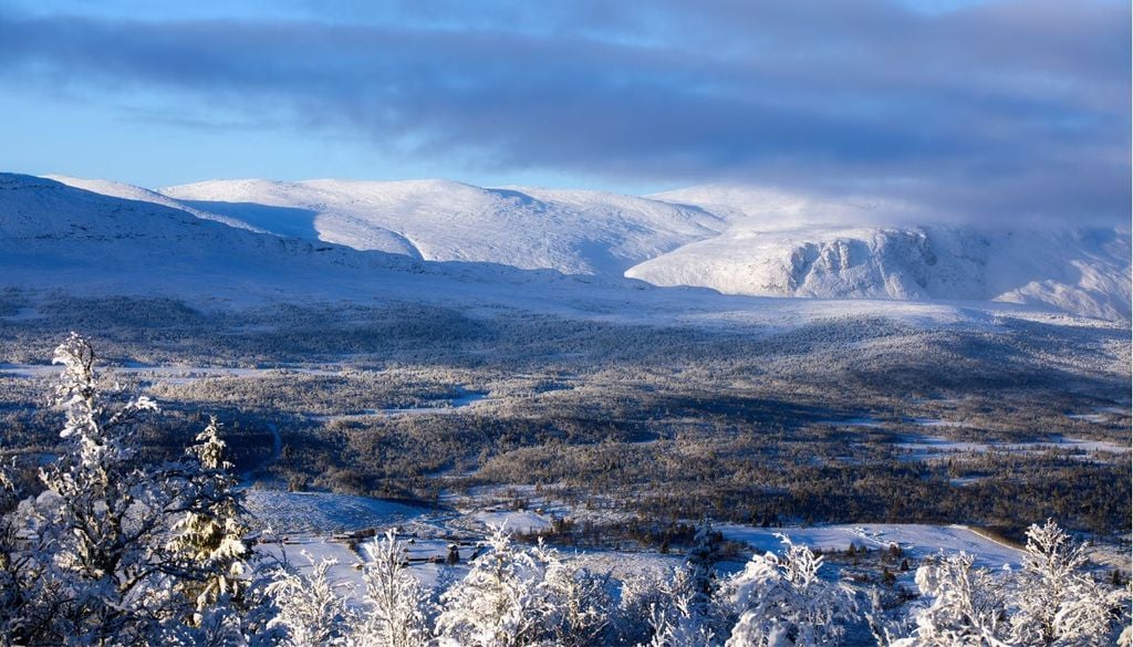 Le grandi distese innevate della Norvegia dove un tempo si cacciavano le renne