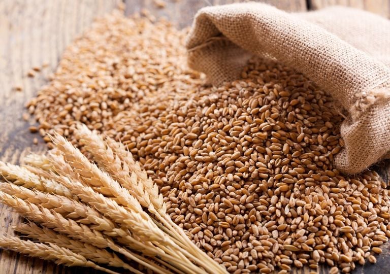 Il piccolo campo di grano che si semina al buio per portare luce e fortuna: il rito di Santa Lucia che puoi fare a casa