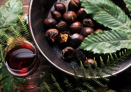 Il programma autunnale perfetto per una domenica in famiglia: i migliori boschi dove andare a raccogliere le castagne