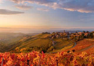 Il programma perfetto per un weekend tranquillo: un viaggio su un treno storico tra i paesaggi autunnali del nord Italia