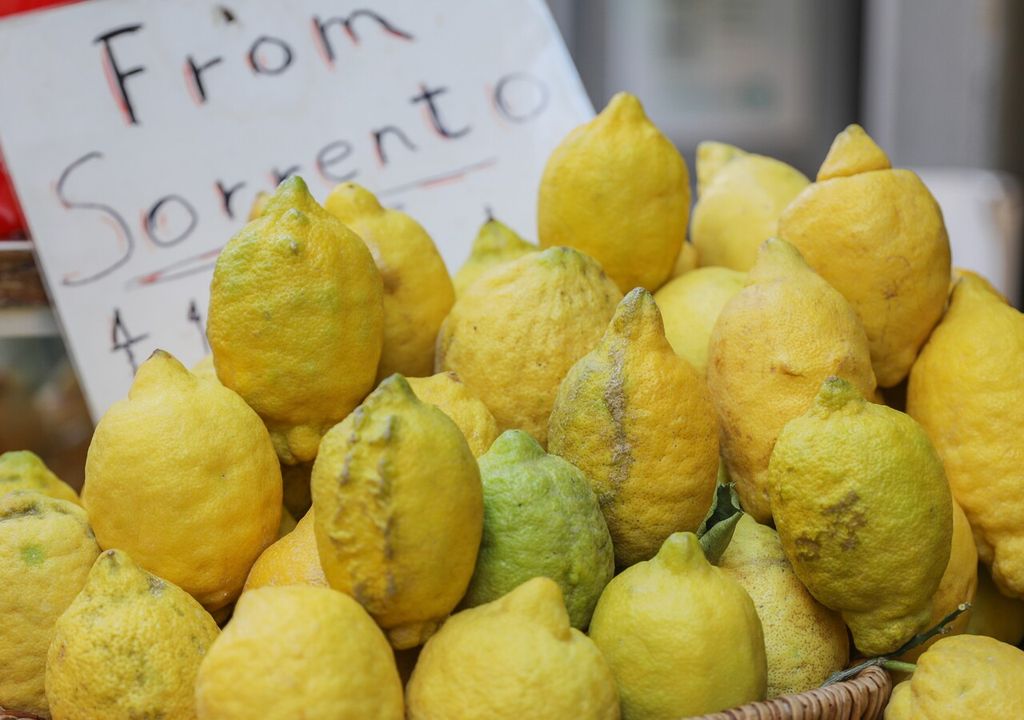 The Secret Of Sorrento Lemons Is Not The Sun But An Ancient Pergola The Secret Of Sorrento Lemons Is Not The Sun But An Ancient Pergola