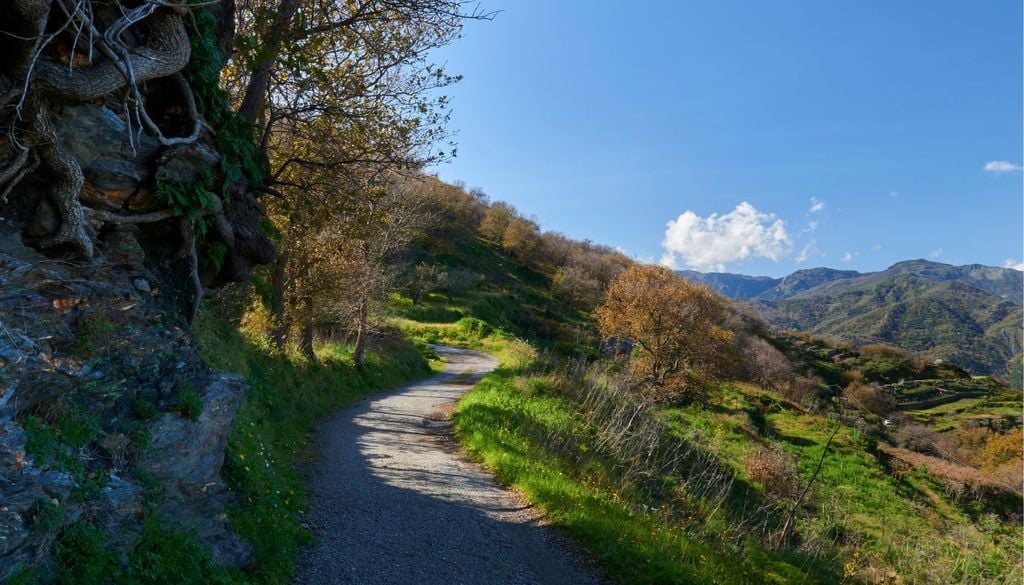 Sentiero per il trekking sui Monti Peloritani