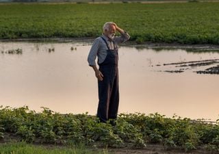 Il settore agricolo tra siccità e alluvioni: come coltivare e allevare in un clima che cambia