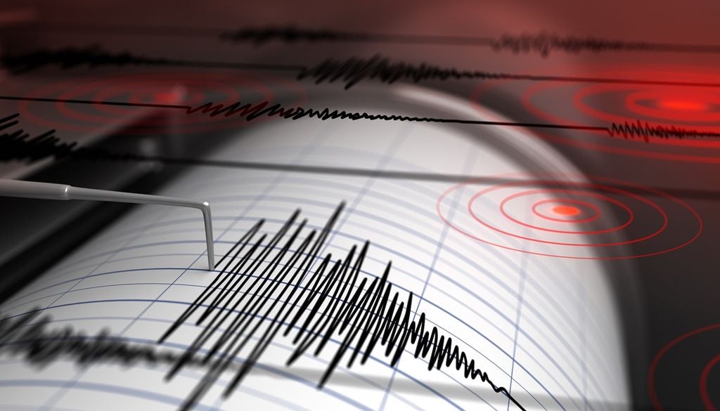 terremoto L'esultanza per la vittoria della Spagna ai Mondiali ha generato vibrazioni che sono state registrate dai sismometri di Madrid.