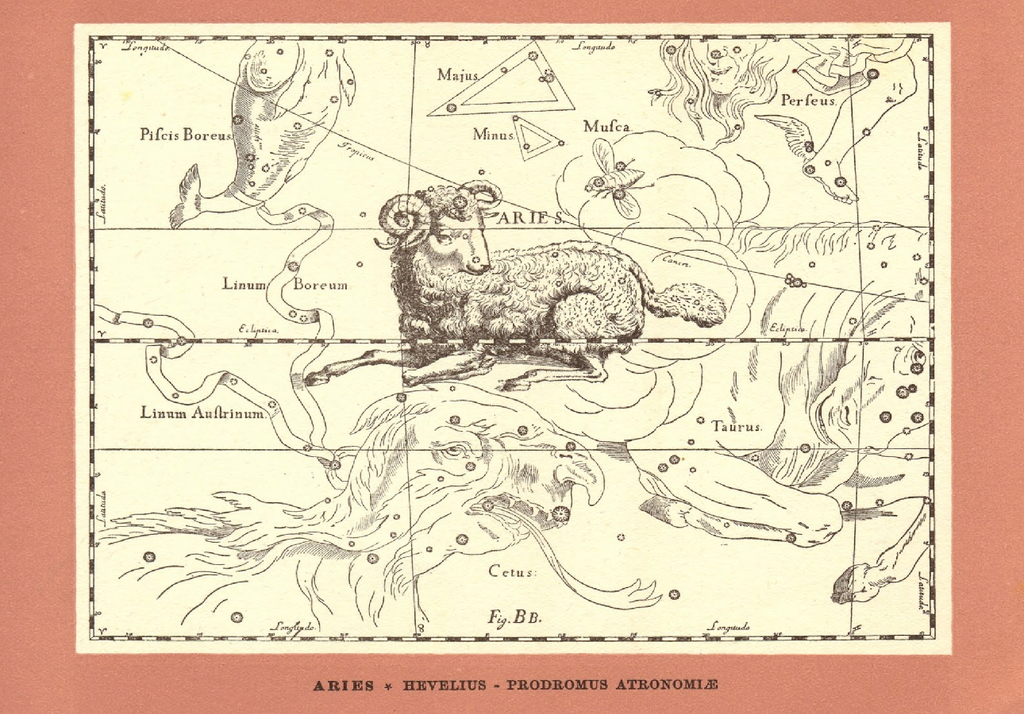 Ariete La rappresentazione della costellazione dell'Ariete nelle tavole di Hevelius.