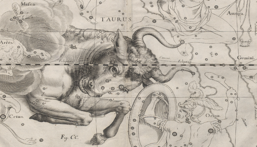Rappresentazione della costellazione del Toro tratta dall'opera di Jan Heweliusz "Firmamentum Sobiescianum, sive Uranographia" del 1690.