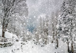 Il tempo in Italia la prossima settimana: fine febbraio con tanta pioggia in arrivo, un metro di neve sulle Alpi?