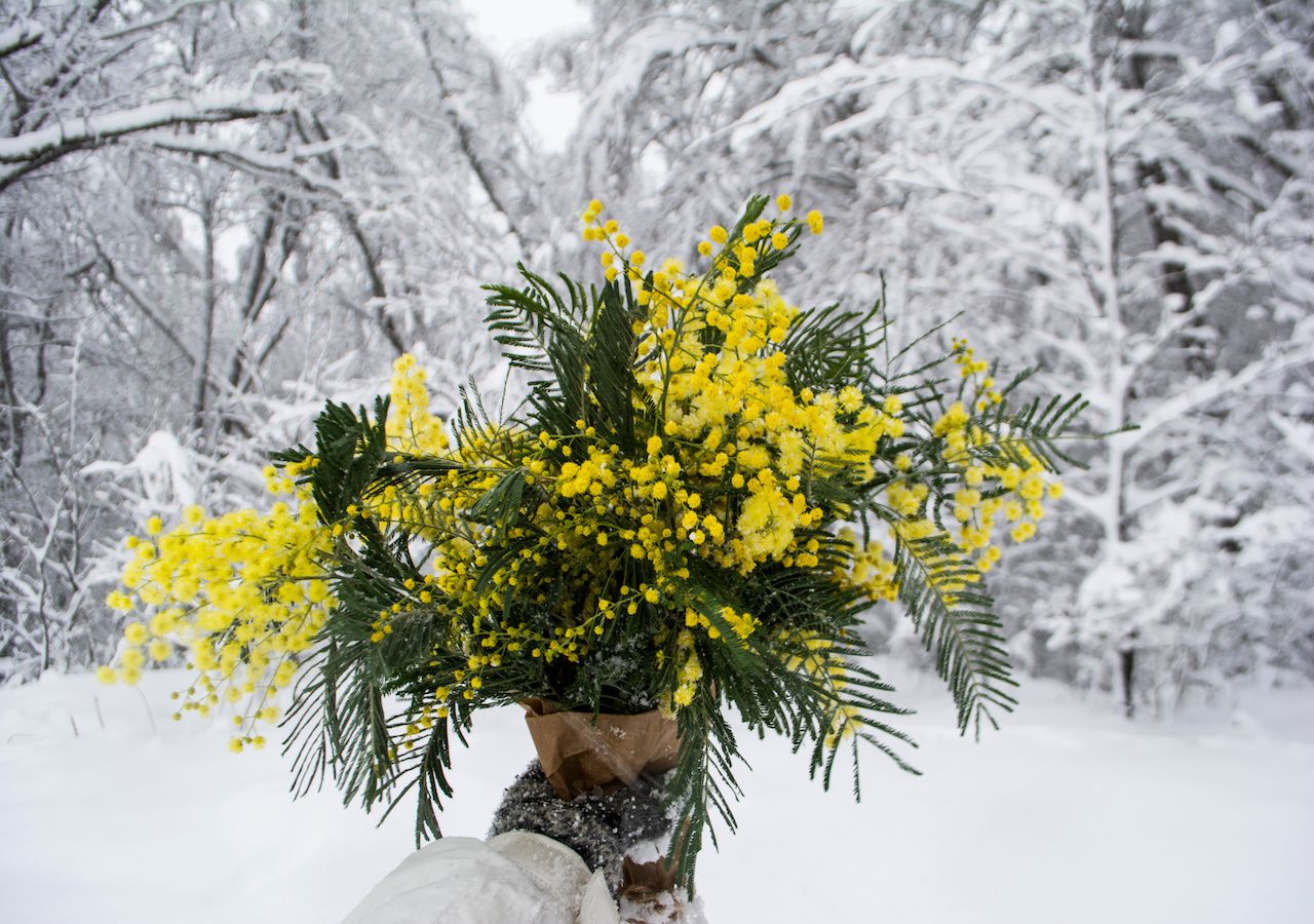 Freddo e neve a bassa quota verso la festa della Donna? scenari incerti nei modelli, nell'articolo le previsioni aggiornate.