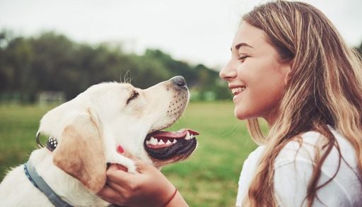 Il tuo cane sbatte le palpebre quando ti guarda: pu&ograve; essere un gesto d&rsquo;affetto?