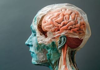 Il tuo cervello si "pulisce" ogni notte: il vero, incredibile scopo dei sogni svelato dalla scienza