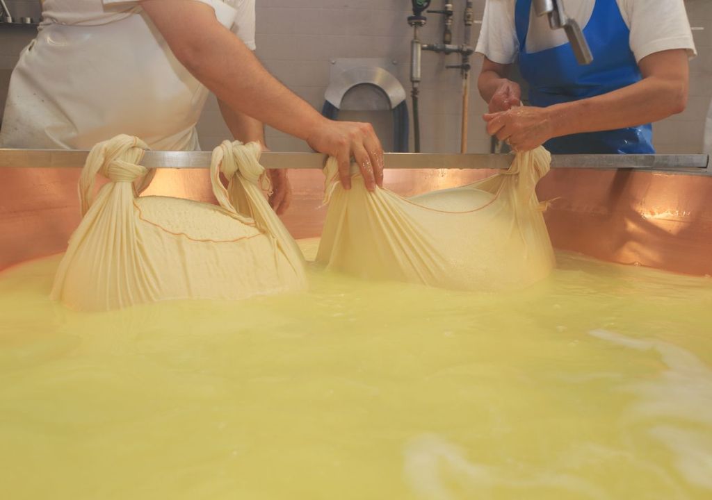 Parmigiano reggiano Parmigiano reggiano