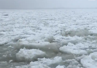 Il vortice polare piomba in nord America portando gelo e neve: i video