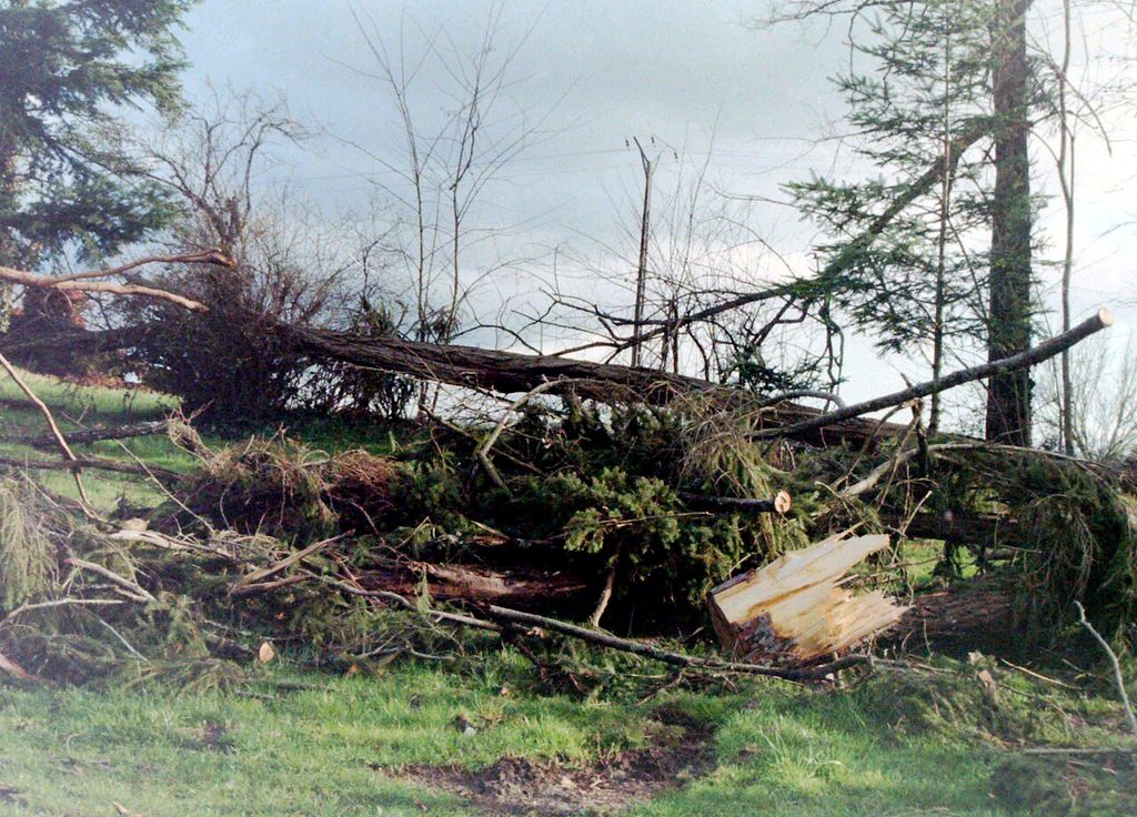 Archives tempête Martin 27 décembre 1999