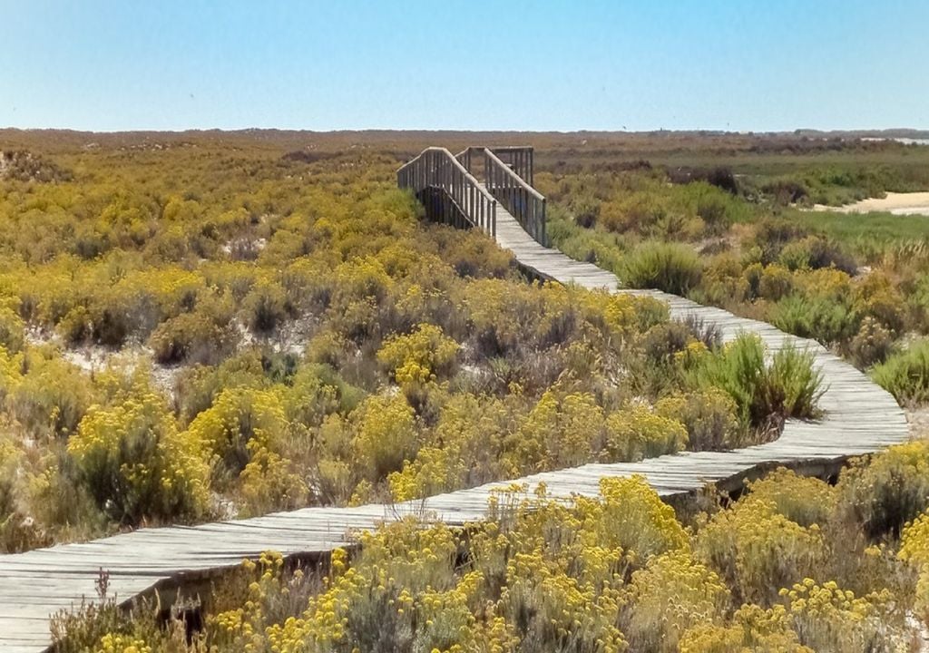 Dunas das ilhas Barreira