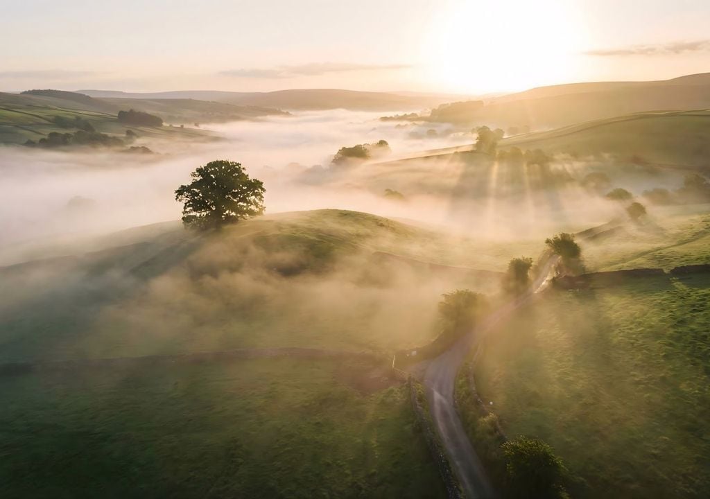 Nebel Sonne Herbst Landschaft Morgen In Kombination mit goldenen Oktobertagen kann es so oder so ähnlich demnächst in vielen Teilen Deutschlands am Morgen aussehen