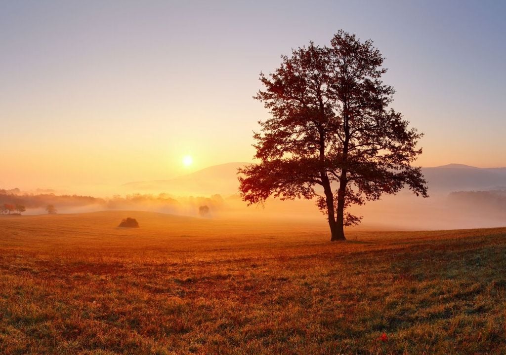 Nebel Sonne Oktober Herbst Besonders in der ersten Hälfte der kommende Wochen stehen voraussichtlich nochmal sehr freundliche Oktobertage mit viel Sonnenschein an. Doch der Nebel wird von nun an ein immer wiederkehrender Begleiter des Herbstes sein.