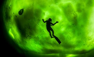 Imagen única: auroras bajo el hielo