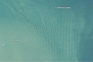 Imagen única: las otras estelas