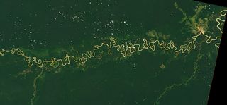 Imagen única: Los meandros del Juruá, Perú