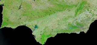 Imagen única: muchas zonas oscuras en tierra ¿qué son?