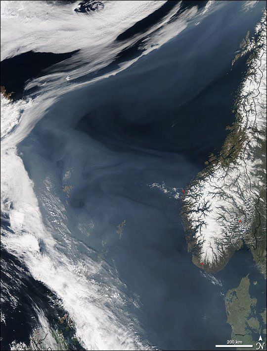 Imagen única: Nubes De Polén Sobre Europa Imagen única: Nubes De Polén Sobre Europa
