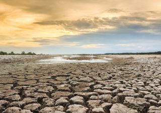 Imágenes de satélite muestran la grave situación de la sequía en México