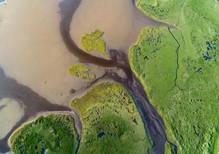 Imagens de satélite mostram a grave contaminação por cianobactérias do Lago de Maracaibo