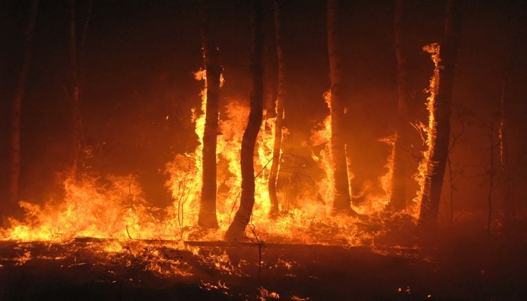 Images impressionnantes des feux en France : d&eacute;couvrez si la m&eacute;t&eacute;o sera bient&ocirc;t favorable aux pompiers