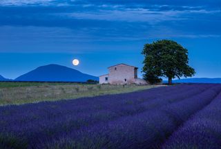 È imminente, mancano poche ore alla Luna piena dei fiori: è il plenilunio di maggio