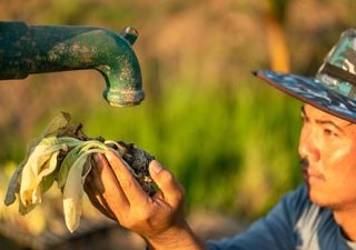 ¡Impactante! Necesitaríamos casi 3 planetas para que toda la humanidad viviera como en Chile