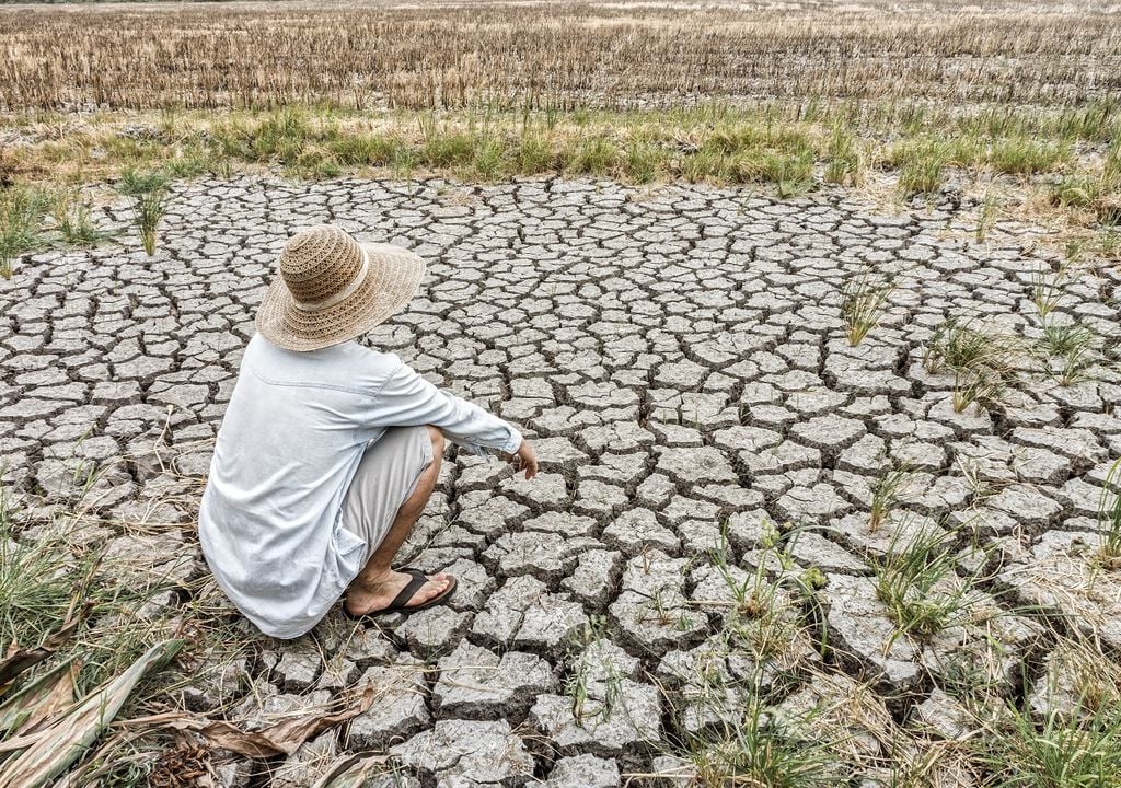 Desespero al perder sus tierras productivas por causa de la sequía