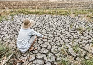 Schockierende Beweise für die globale Klimakrise!