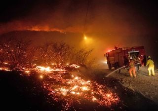 Impactantes imágenes de los incendios en Córdoba: evacuan a vecinos de La Cuesta 